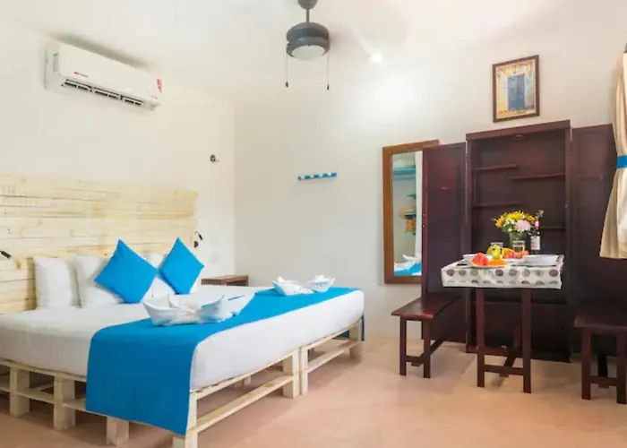 Casa Toloc