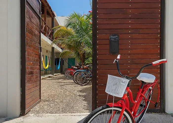 Casa Toloc